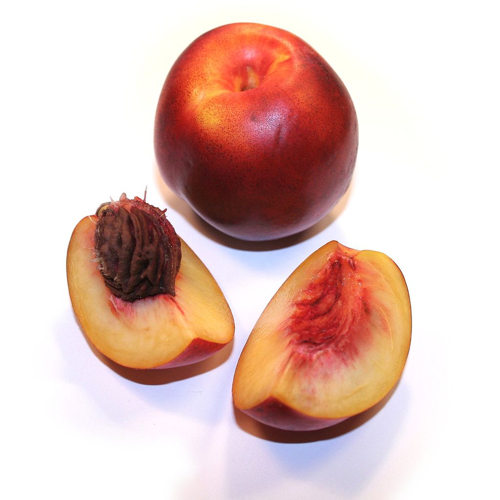 1024px-nectarine.jpg